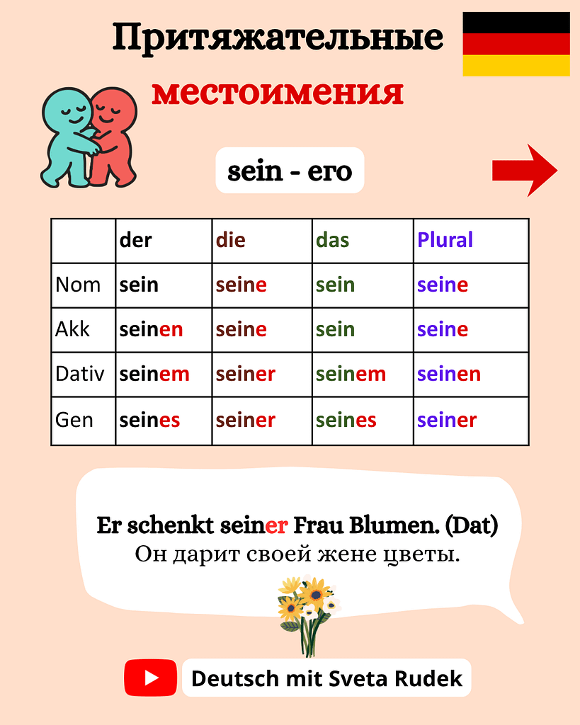 Притяжательные местоимения в немецком языке
